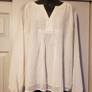 Daniel rainn blouse size large